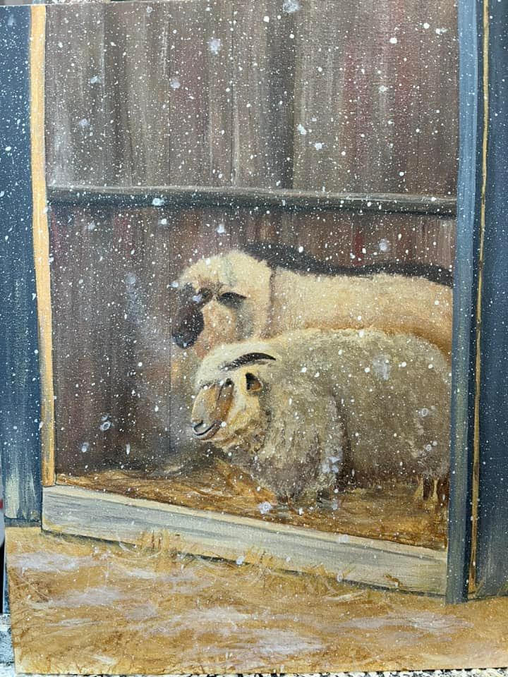 Sheep in barn doorway in snowfall