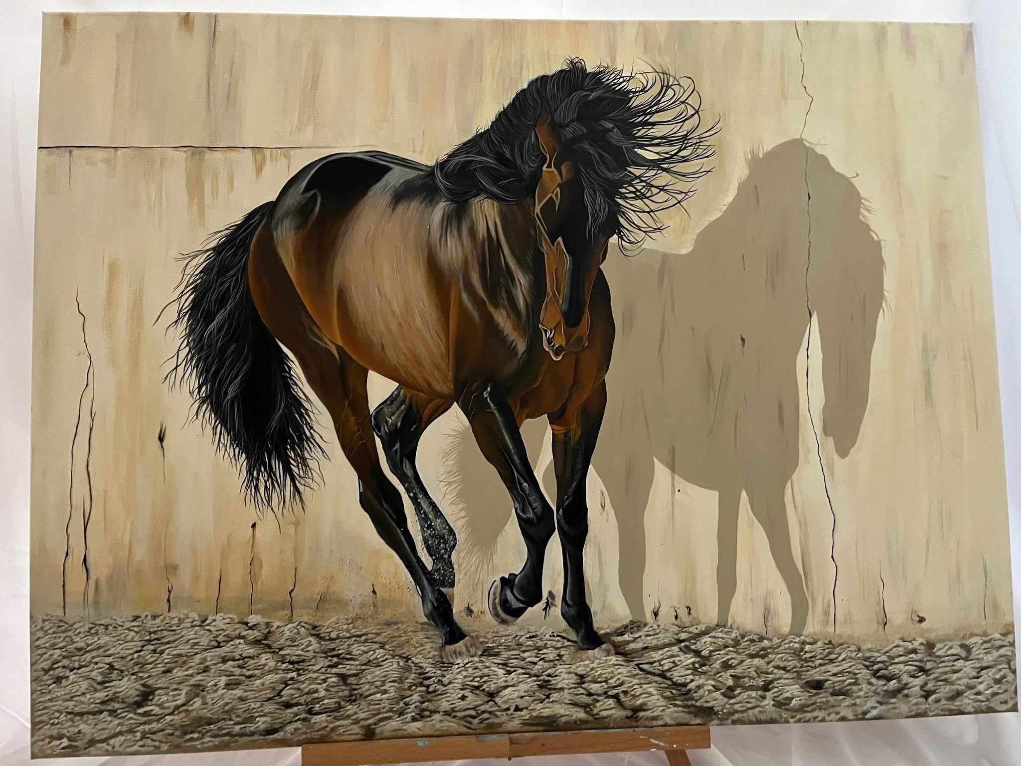 Caballo Macho — bay stallion