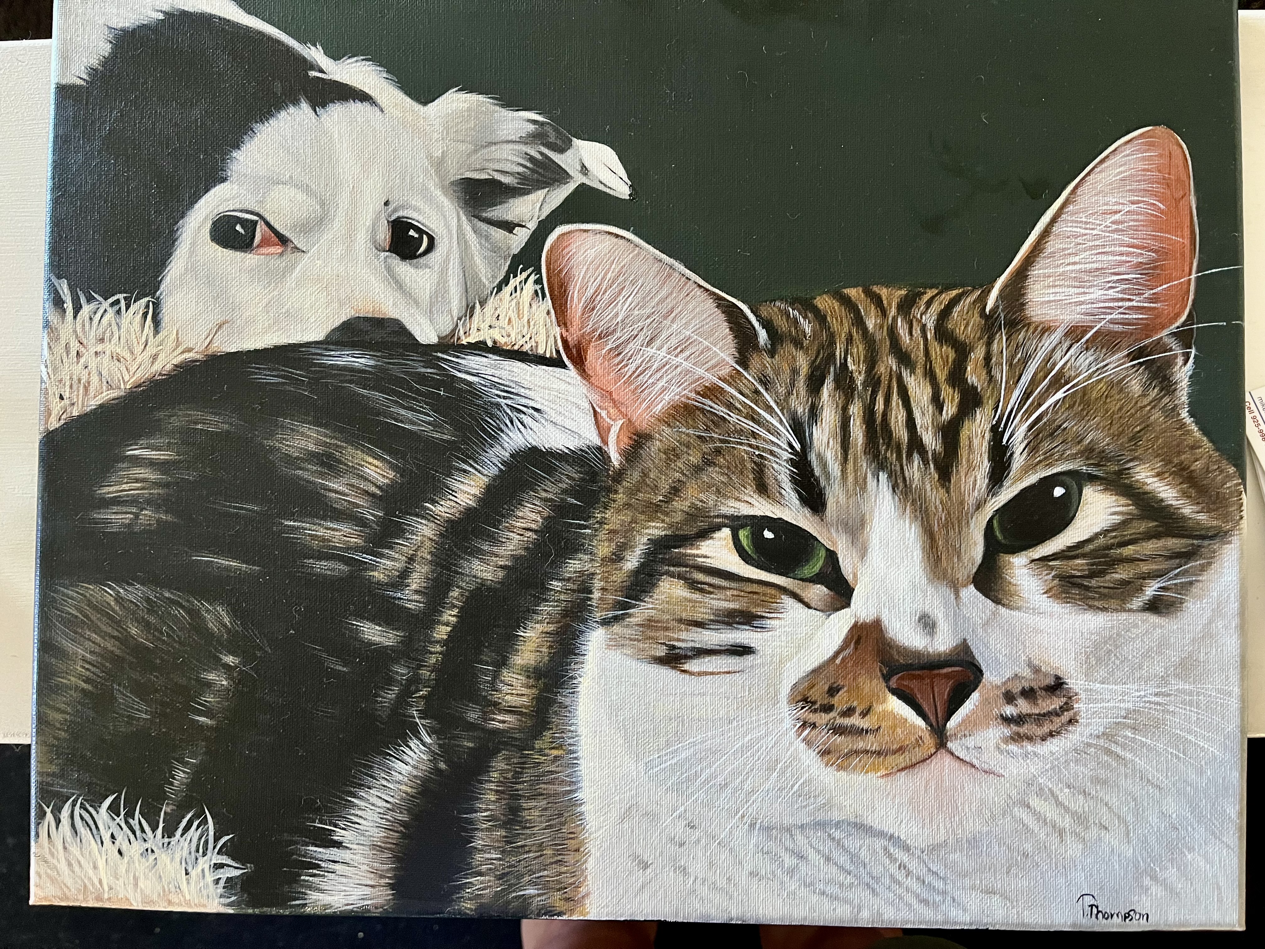 Mouse & Molly — dog and cat portrait