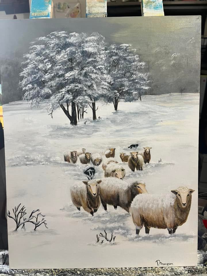 Roundup — sheep in snow