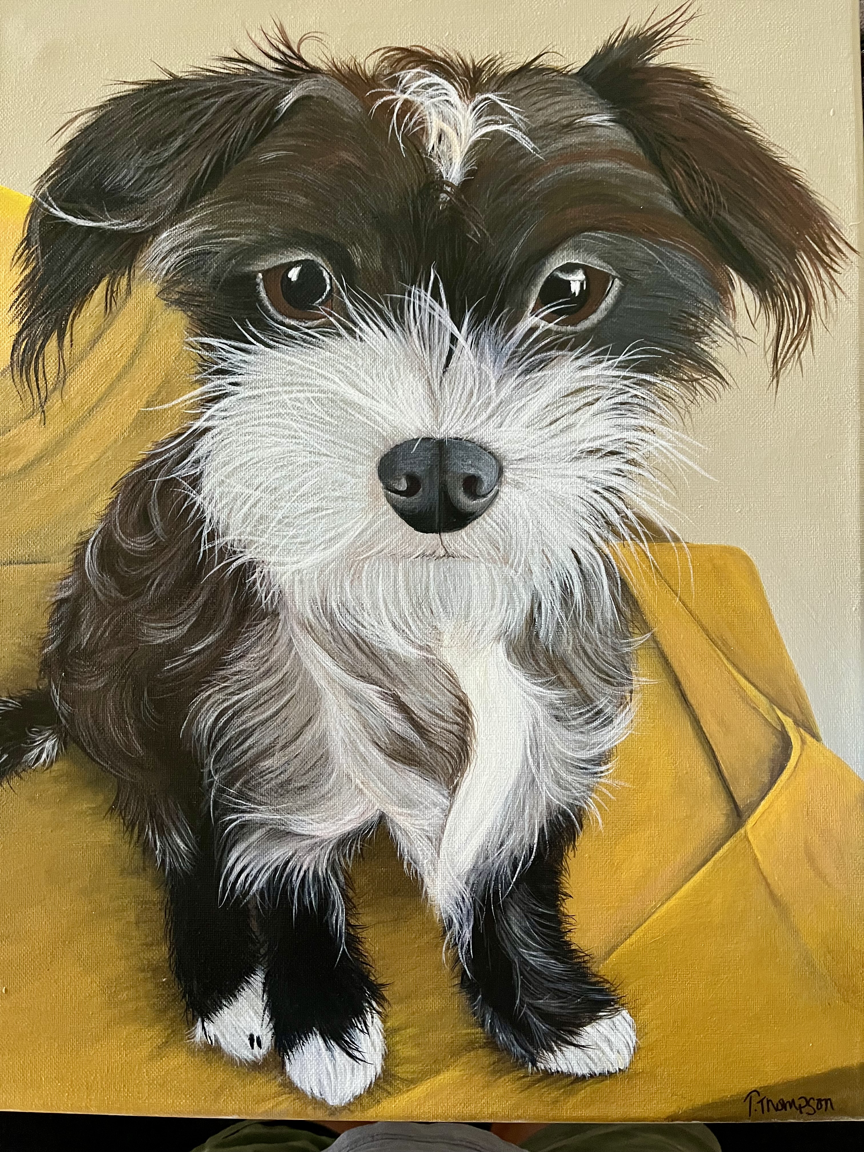 Scruffy — commissioned terrier portrait in acrylic